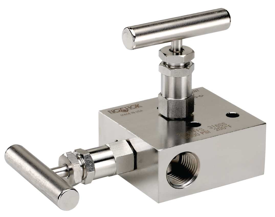  2000 Series 2-Valve Block & Bleed Manifold Valves /Static pressure & Liquid level