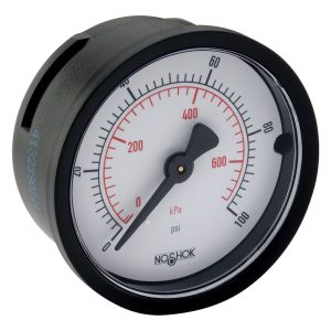  20-110-300-psi/kPa 1/4 NPT Back Conn 2 ABS DRY Case Gauge