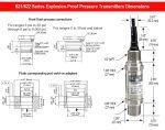 621/622 Series Explosion-Proof Pressure Transmitter - Image 2