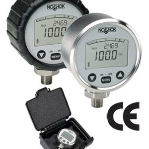  1000-2000-2-1-ST8-RCP Digital Pressure Gauge