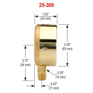 25-300-5000-psi-MIP 1/4 NPT Bottom Conn, 2.5 Brass Case Gauge, Glycerin Filled, Maximum Indicating Pointer