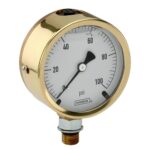25-310-300-psi/kg/cm2-SST 7/16-20 Back Conn, 2.5 Brass Case Gauge, Glycerin Filled