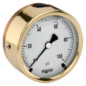  25-310-SST-160-psi 7/16-20 Back Conn, 2.5  Liquid Filled Brass Case Gauge