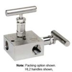  2604-FFS-P2 ,Hard Seat, 1/2 NPT Female x 1/2 NPT Female, (0.156” Orifice) 316 SS, Graphite Packing 2 Valve Manifold
