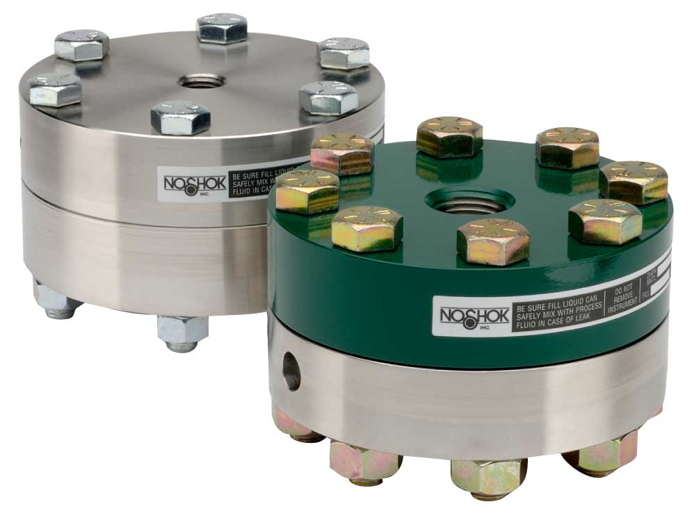 Type10_Diaphragm_LG-NEW 10-02C-S-B-04C Standard & Elevated Pressure, Bolted, Replaceable Diaphragm Seals - Image 1