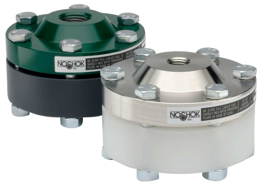 Type30L_LG 30-02S-S-R-02S Standard & Elevated Pressure, Bolted, Non-Replaceable Diaphragm Seal- - Image 1